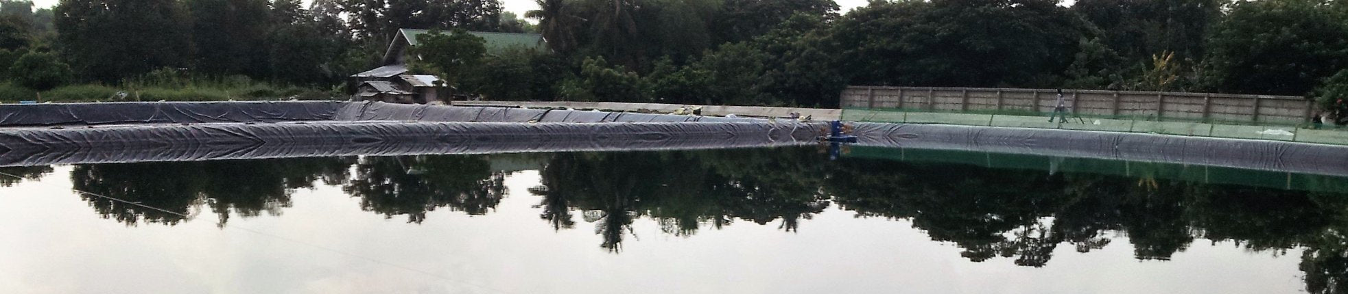 Pond-Bio - Bloom Starter Formula