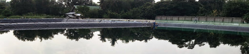 Pond-Bio - Bloom Starter Formula